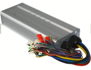 Maus taus taw maub los